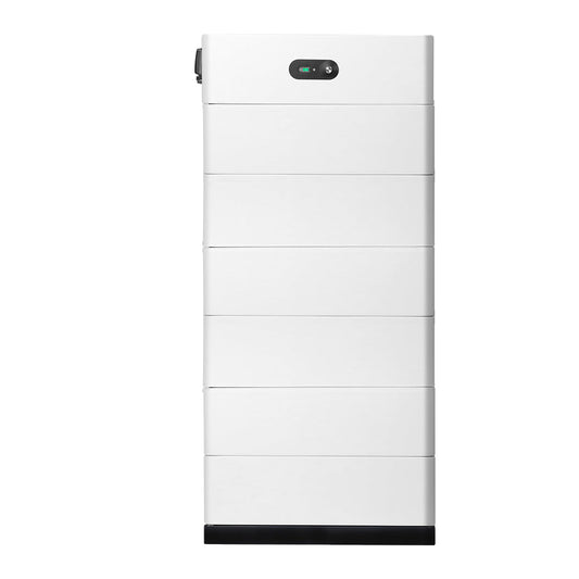 SYNERGY LFP Battery -with BMS